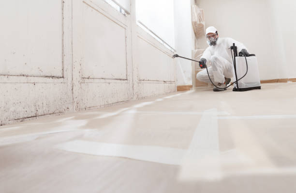 24/7 Emergency Attic Mold Remediation experts in Greenbackville, VA